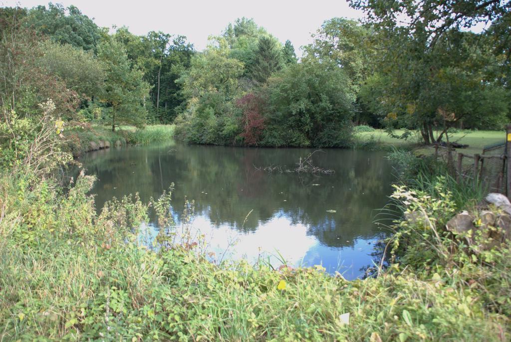 Land-Hotel Zum Schwan, Garni Weilerswist-Metternich, 3 E-Ladestationen, Naehe Phantasialand, Palmenparadies Euskirchen Εξωτερικό φωτογραφία
