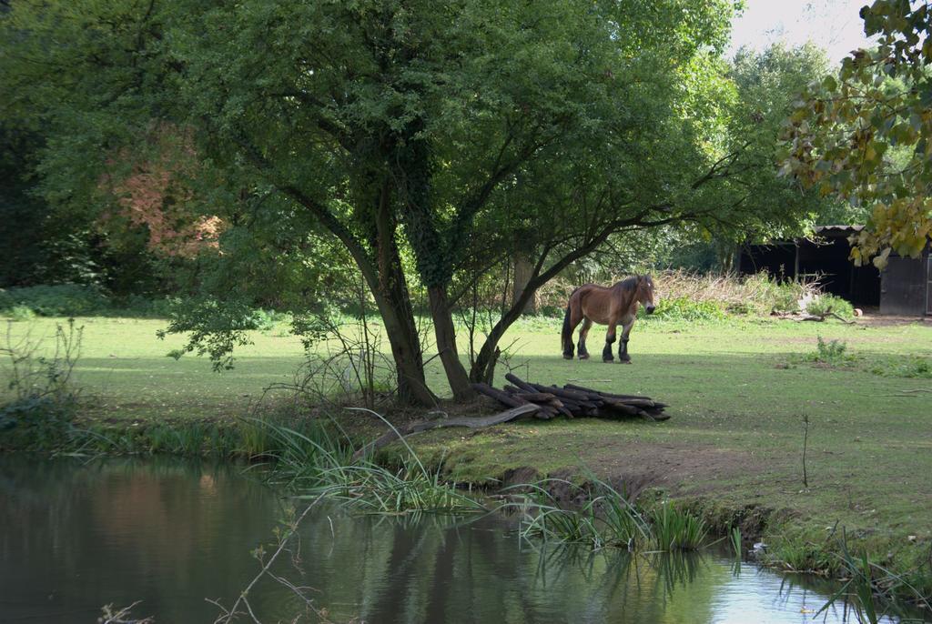 Land-Hotel Zum Schwan, Garni Weilerswist-Metternich, 3 E-Ladestationen, Naehe Phantasialand, Palmenparadies Euskirchen Εξωτερικό φωτογραφία
