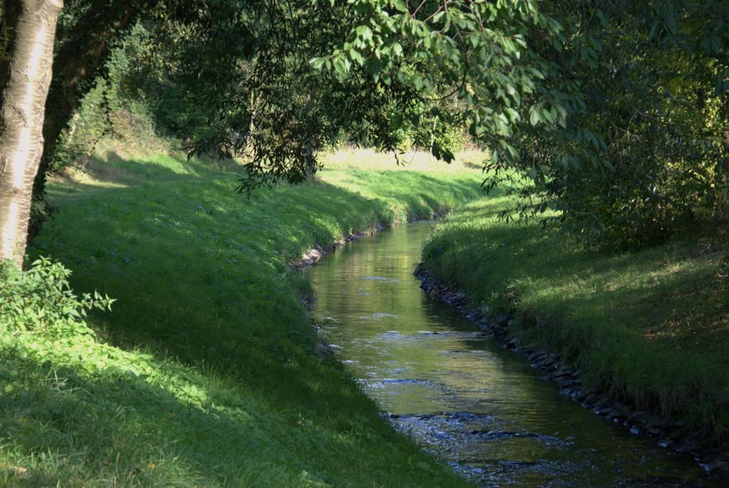 Land-Hotel Zum Schwan, Garni Weilerswist-Metternich, 3 E-Ladestationen, Naehe Phantasialand, Palmenparadies Euskirchen Εξωτερικό φωτογραφία