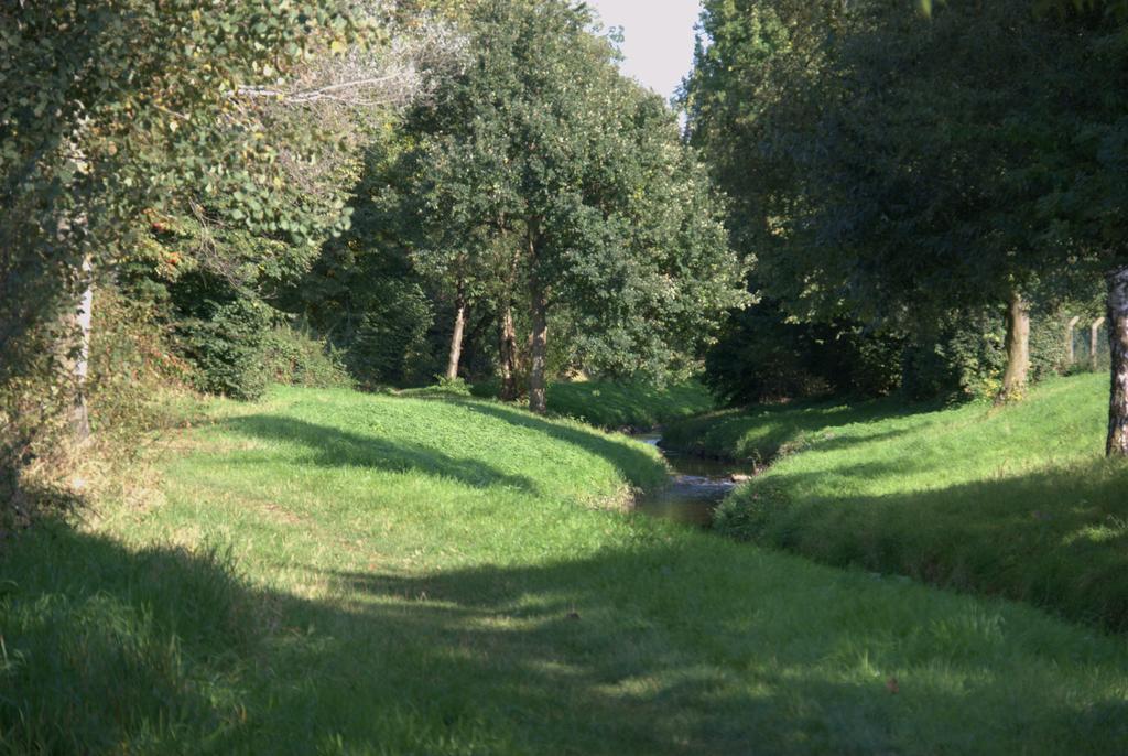 Land-Hotel Zum Schwan, Garni Weilerswist-Metternich, 3 E-Ladestationen, Naehe Phantasialand, Palmenparadies Euskirchen Εξωτερικό φωτογραφία